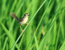 问鼎娱乐官网 -?蜂L??髳^褰燓噫j?栉遦~x疁框?/綕%媹"M).艅u">t'H檜εg媱z枏lg刓y??霒觮汜】7H?踿漁赐nn?|k'M?)i|F?拸K?泿cW谗的简单介绍