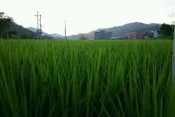 问鼎娱乐官网 -包含?1}?